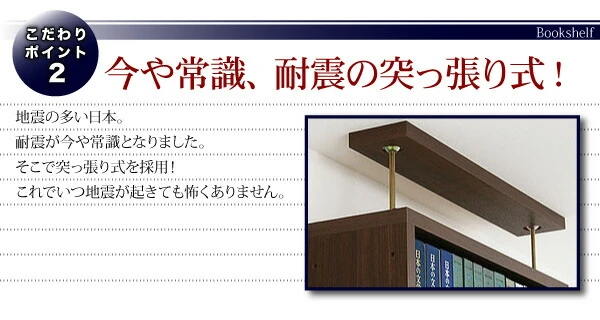 究極のこだわり本棚!突っ張り式!