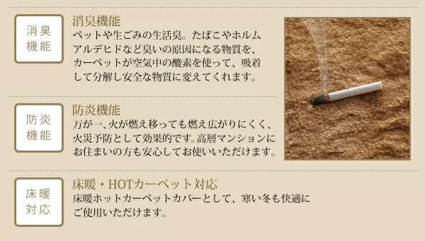 防ダニ・消臭・防炎・抗アレルギー機能付きフェイクファーラグ Rojye ロジェ 140×200cm