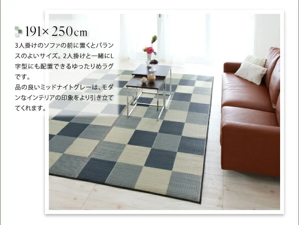 厚みが選べる3タイプ 純国産ブロック柄い草ラグ casule カジュール ウレタン6mm 140×200cm