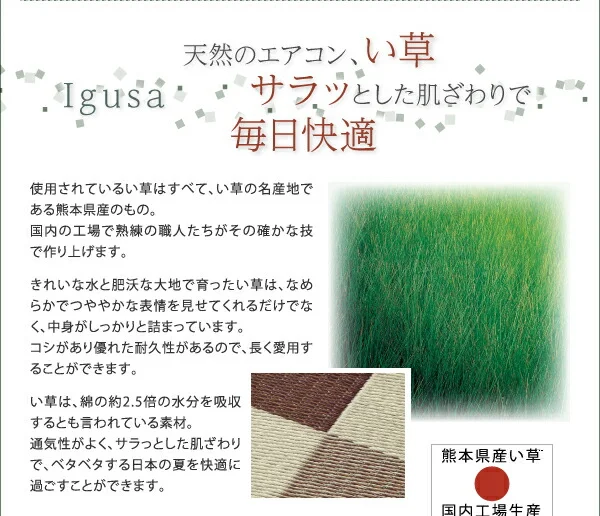 厚みが選べる3タイプ 純国産ブロック柄い草ラグ casule カジュール ウレタン6mm 140×200cm