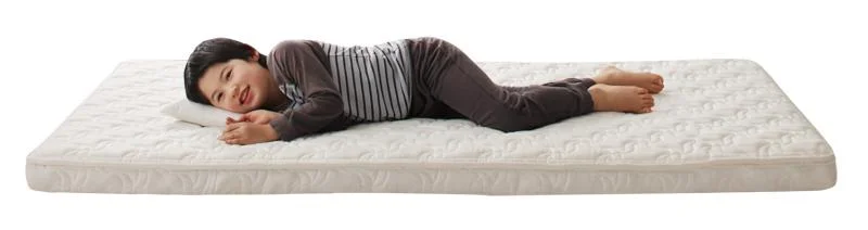 子どもの睡眠環境を考えた 日本製 安眠マットレス 抗菌・薄型・軽量　ジュニア 国産ポケットコイル EVA エヴァ セミシングル ショート丈