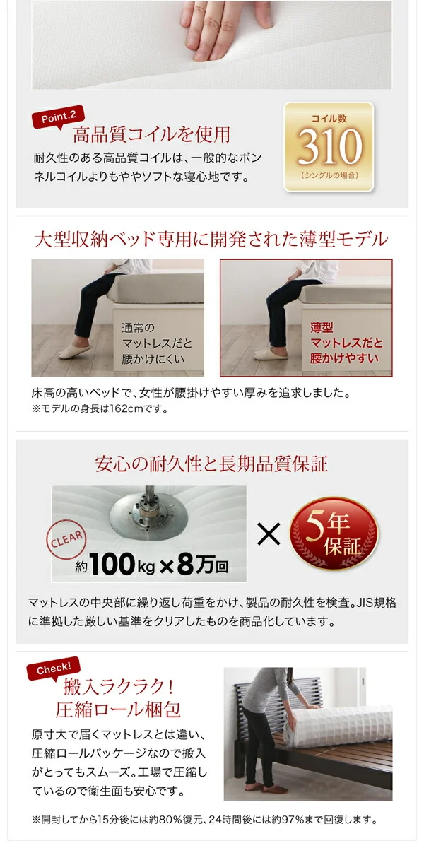 衣装ケースも入る大容量収納ベッド Friello フリエーロ ベッドフレームのみ 引き出しなし シングル