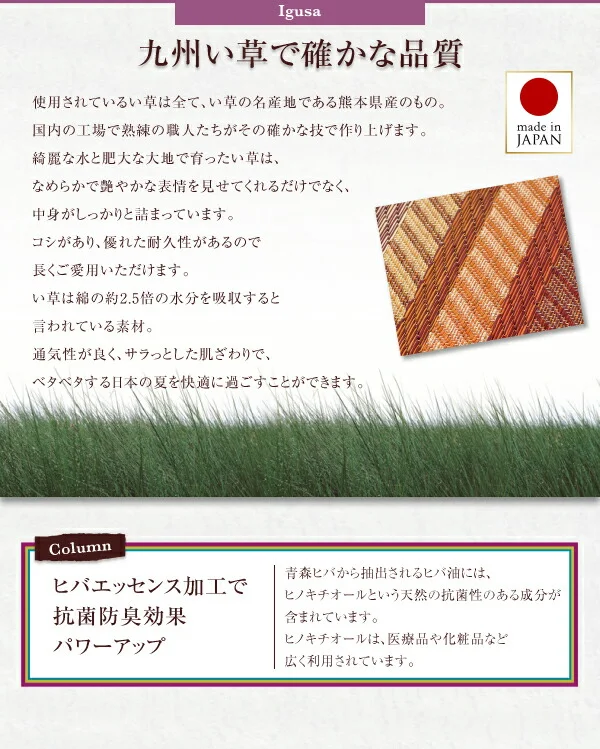 純国産ラインデザインい草ラグ ludima ルディマ 裏地なし 140×200cm