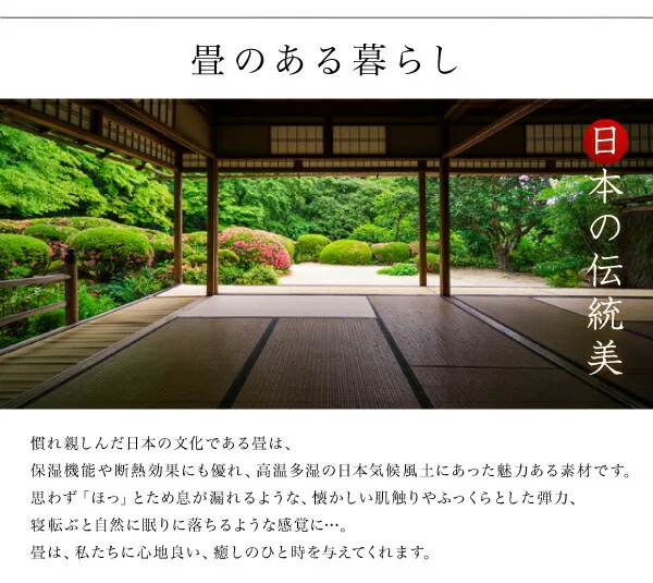 お客様組立 美草・日本製 小上がりにもなるモダンデザイン畳収納ベッド 花水木 ハナミズキ ワイド 40mm厚 シングル