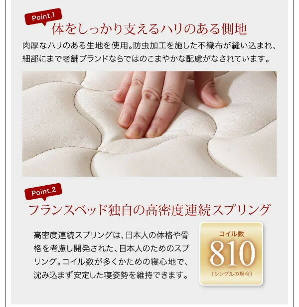 モダンライト・棚・コンセント付きデザインフロアローベッド SPERANZA スペランツァ ベッドフレームのみ シングル