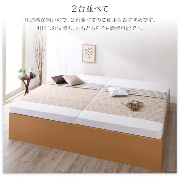 お客様組立 国産 清潔すのこ ヘッドレスチェストベッド Renitsa レニツァ ベッドフレームのみ セミシングル