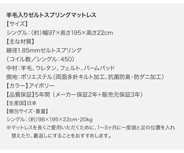お客様組立 棚・コンセント付き国産大型サイズ頑丈跳ね上げ収納ベッド ナヴァル Naval ベッドフレームのみ 縦開き クイーン(SS×2)