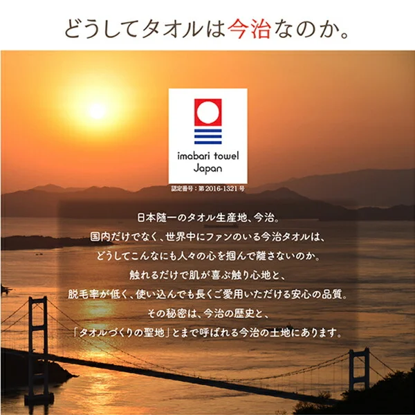 世界の今治タオル 綿100% 家族のためのコットンタオルシリーズ 敷きパッド キング
