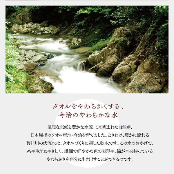 今治生まれの 綿100％ 洗える ふっくらタオルの贅沢カバーリング 和やか 掛け布団カバー ダブル