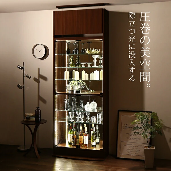 背面ミラー付き壁面コレクション収納 本体 幅54.1