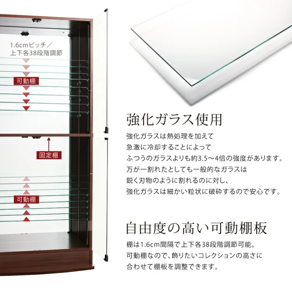 背面ミラー付き壁面コレクション収納 本体 幅54.1