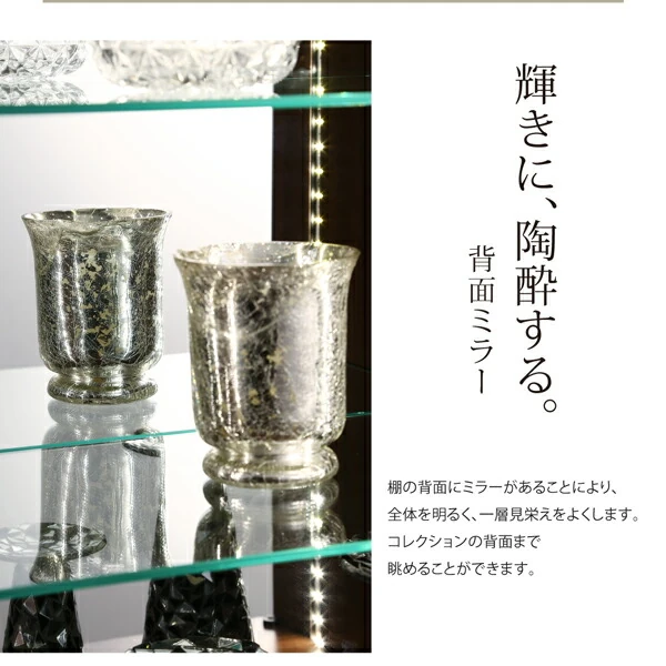 背面ミラー付き壁面コレクション収納 本体 幅54.1