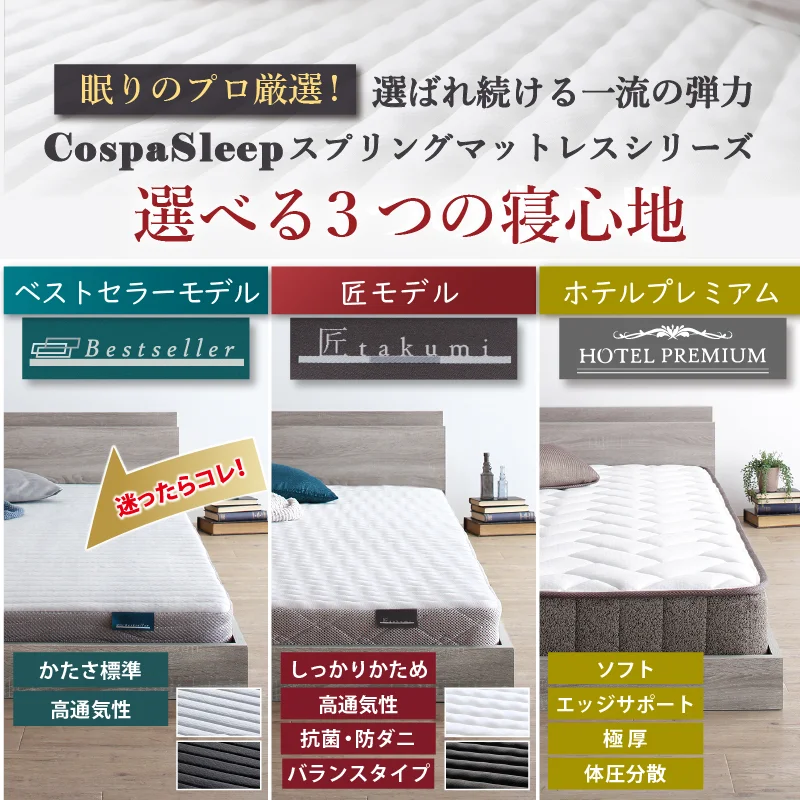 ベッド 棚コンセント付き ロータイプ／Skyline2 ベッドフレームのみ シングル