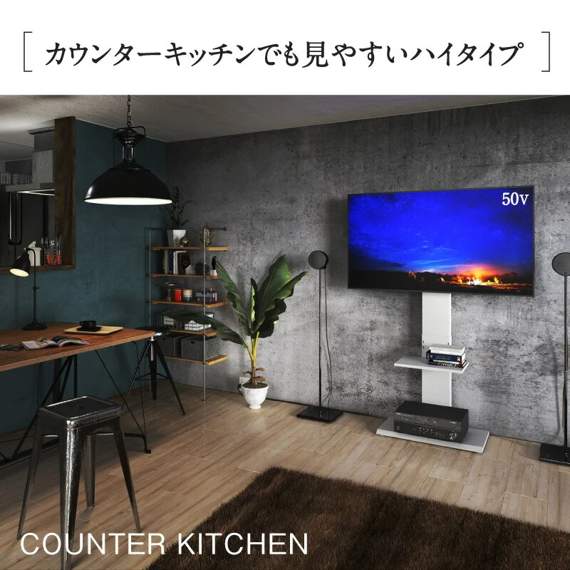 壁掛け風テレビ台 Stand-TV スタンドTV ロータイプ