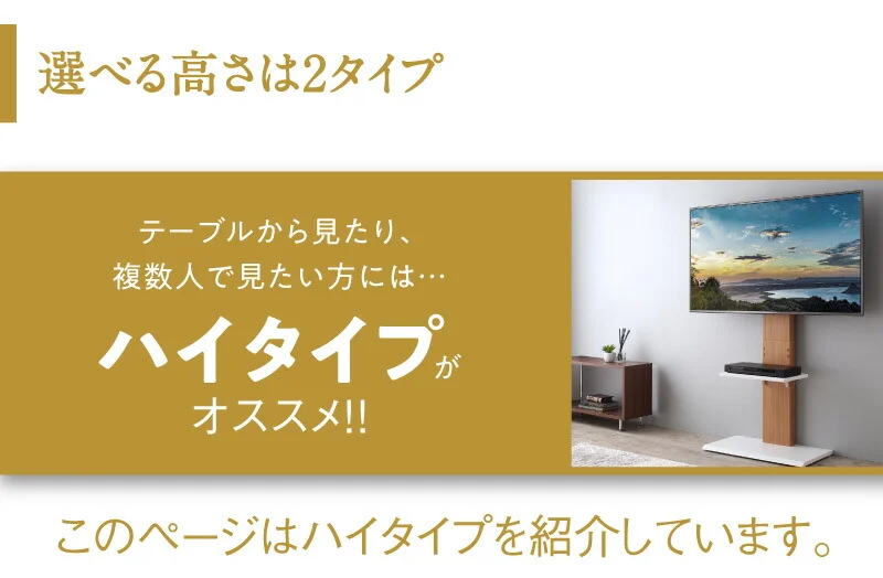 壁掛け風テレビ台 Stand-TV スタンドTV ロータイプ