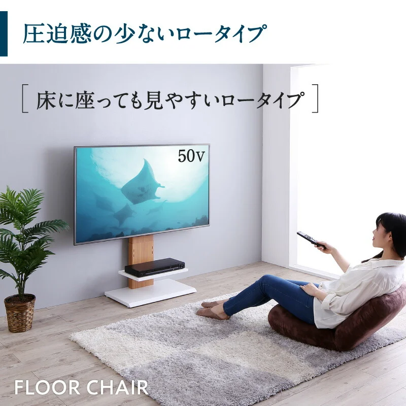 壁掛け風テレビ台 Stand-TV スタンドTV ロータイプ