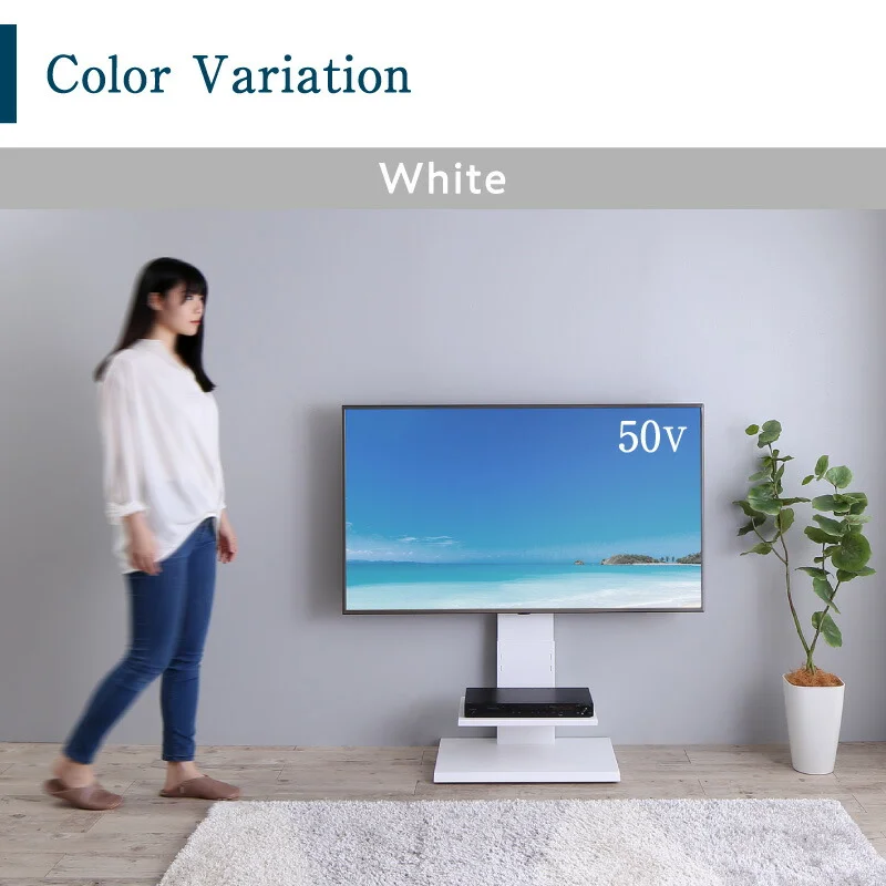 壁掛け風テレビ台 Stand-TV スタンドTV ロータイプ