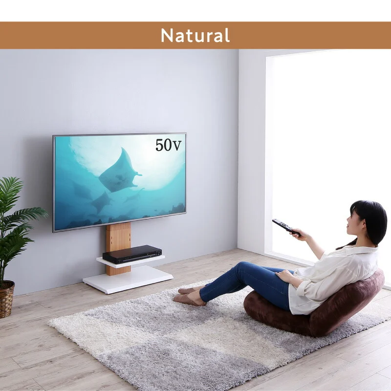 壁掛け風テレビ台 Stand-TV スタンドTV ロータイプ