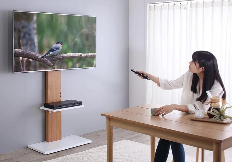 壁掛け風テレビ台 Stand-TV スタンドTV ロータイプ
