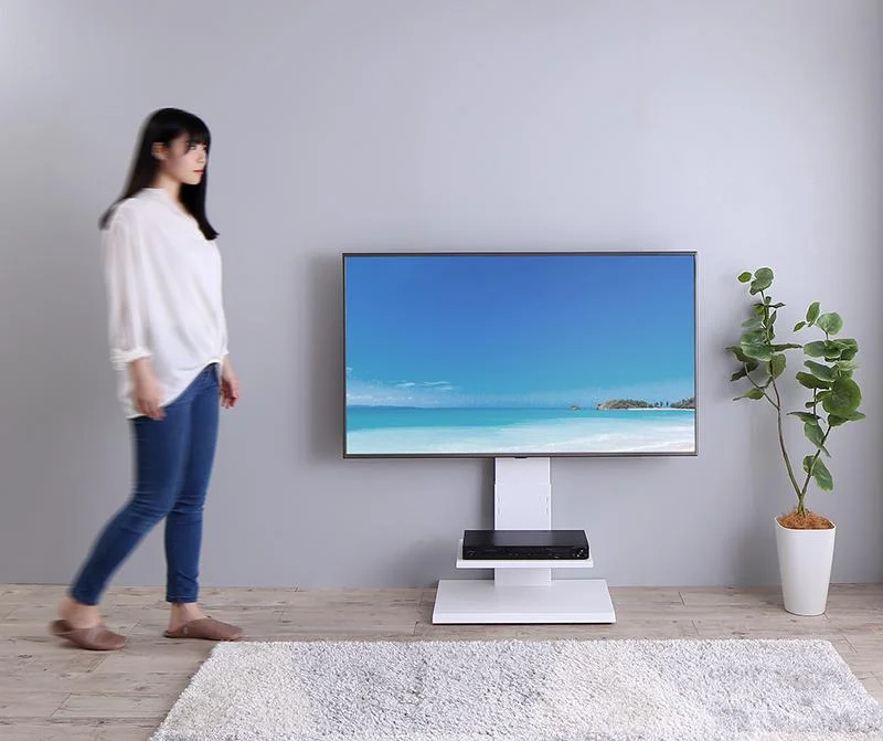 壁掛け風テレビ台 Stand-TV スタンドTV ロータイプ