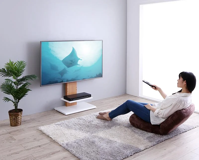 壁掛け風テレビ台 Stand-TV スタンドTV ロータイプ