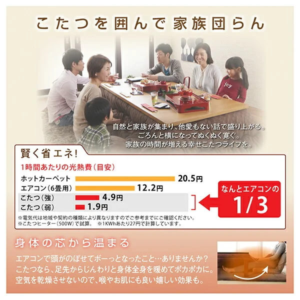 ふっくら綿入り うさぎ和柄こたつ布団 つきひ 掛布団&敷布団2点セット 正方形(80×80cm)天板対応