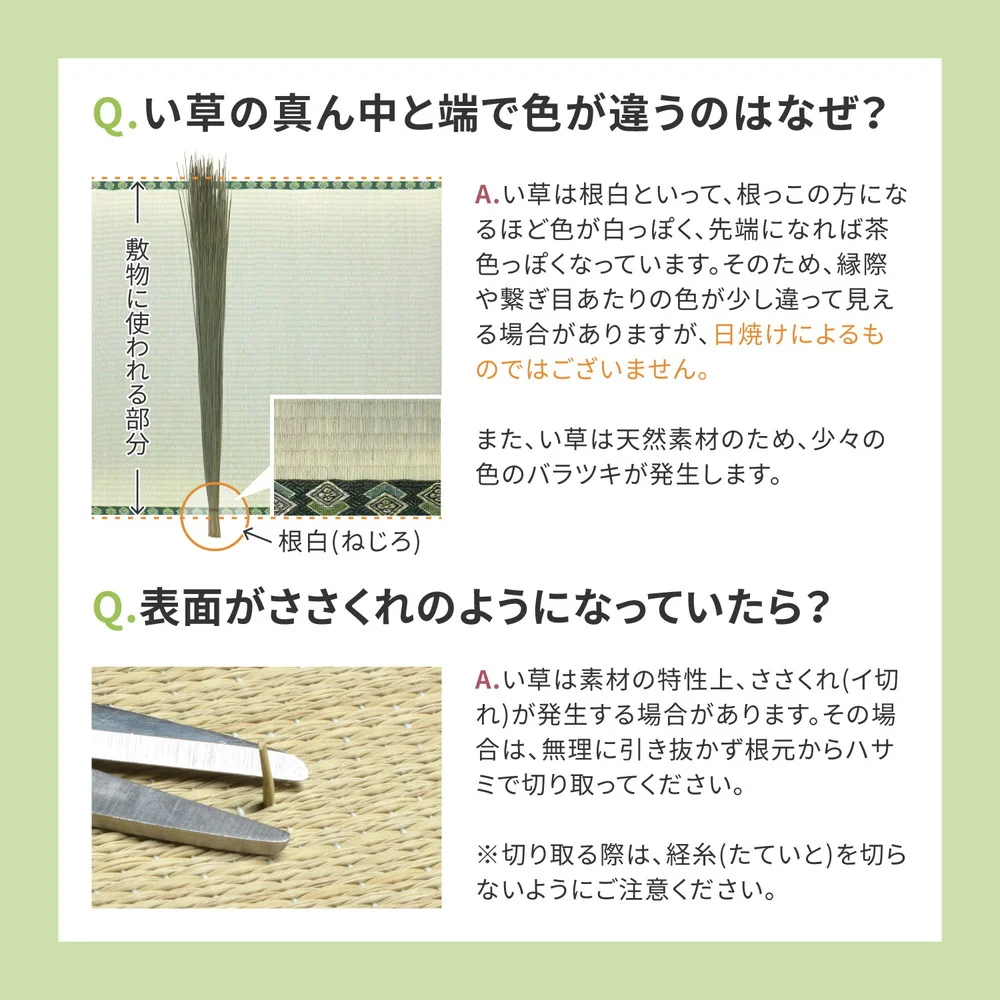 い草カーペット 柳川（やながわ） 江戸間 1帖（87×174）