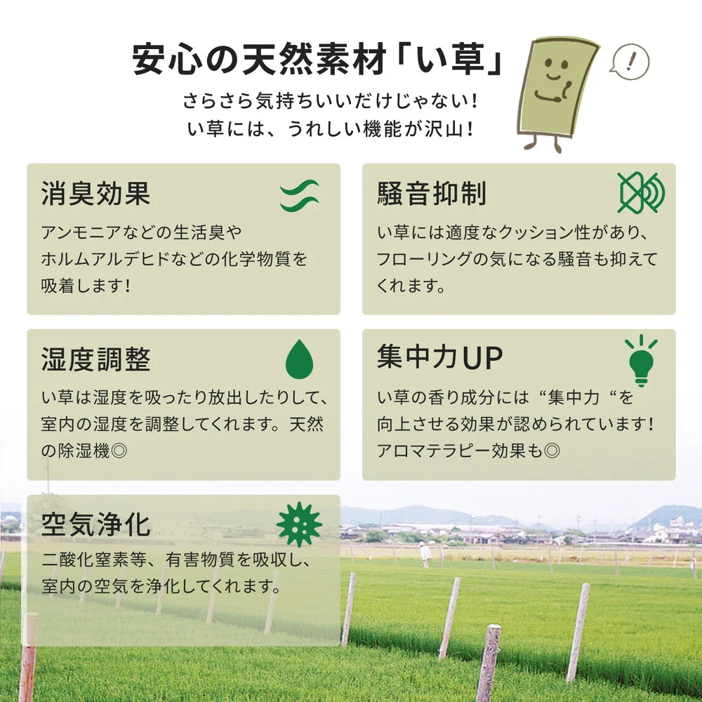 い草カーペット 柳川（やながわ） 江戸間 1帖（87×174）