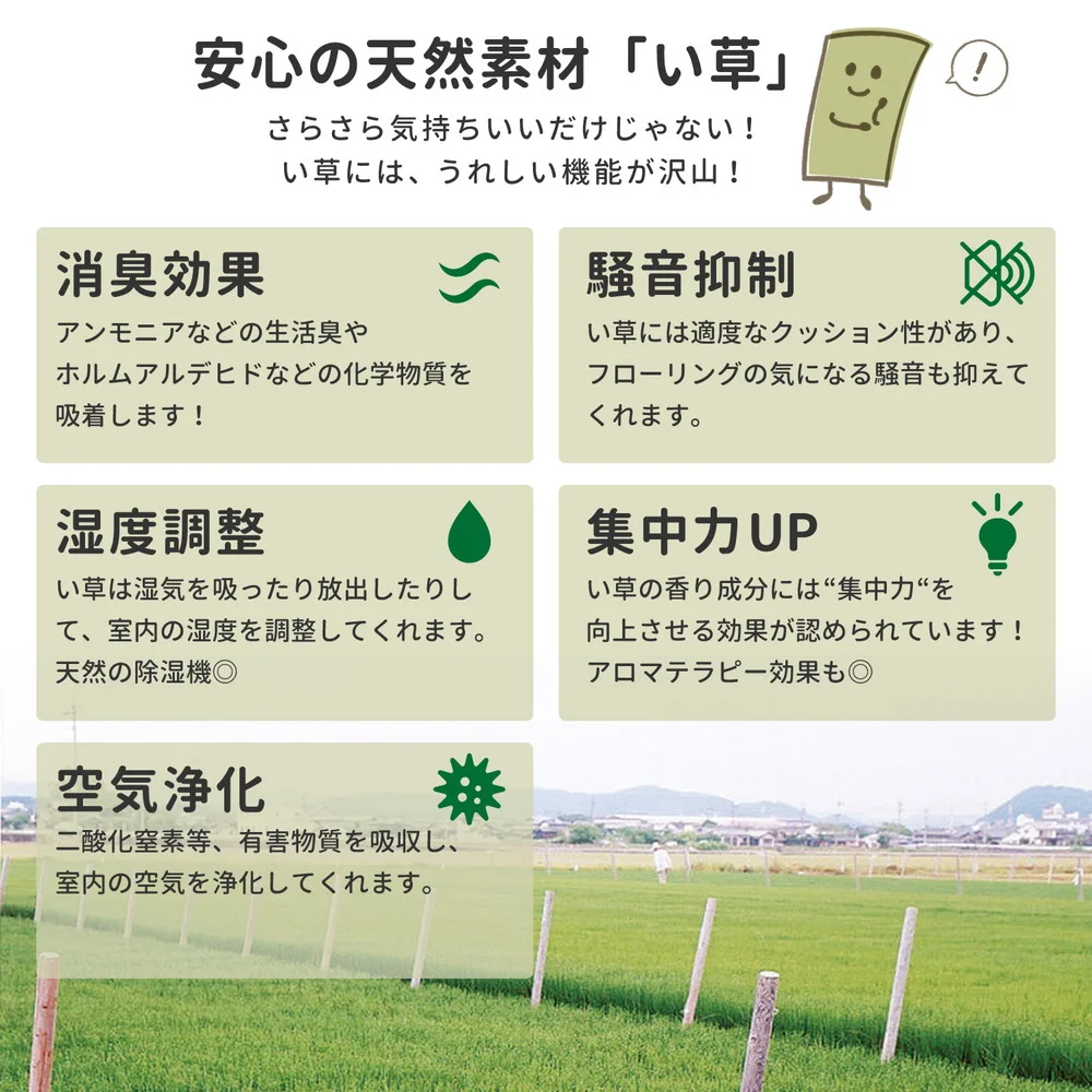 い草ラグ デニムパッチ はっ水機能付き 176×176cm