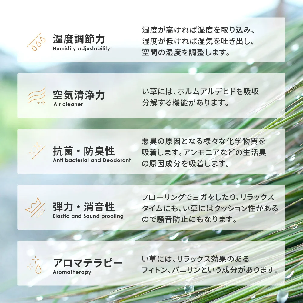 い草ラグ 南風 191×191cm