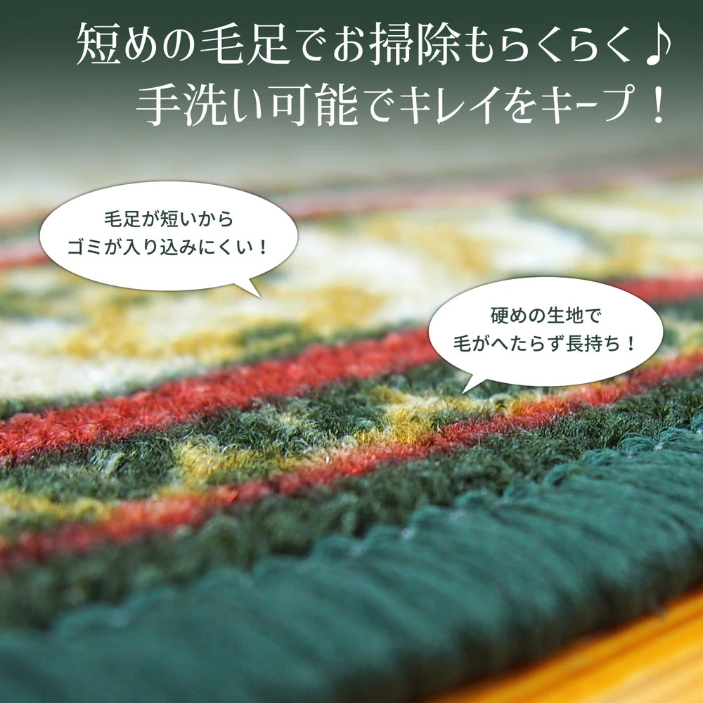 タフトプリント廊下敷き アイラス