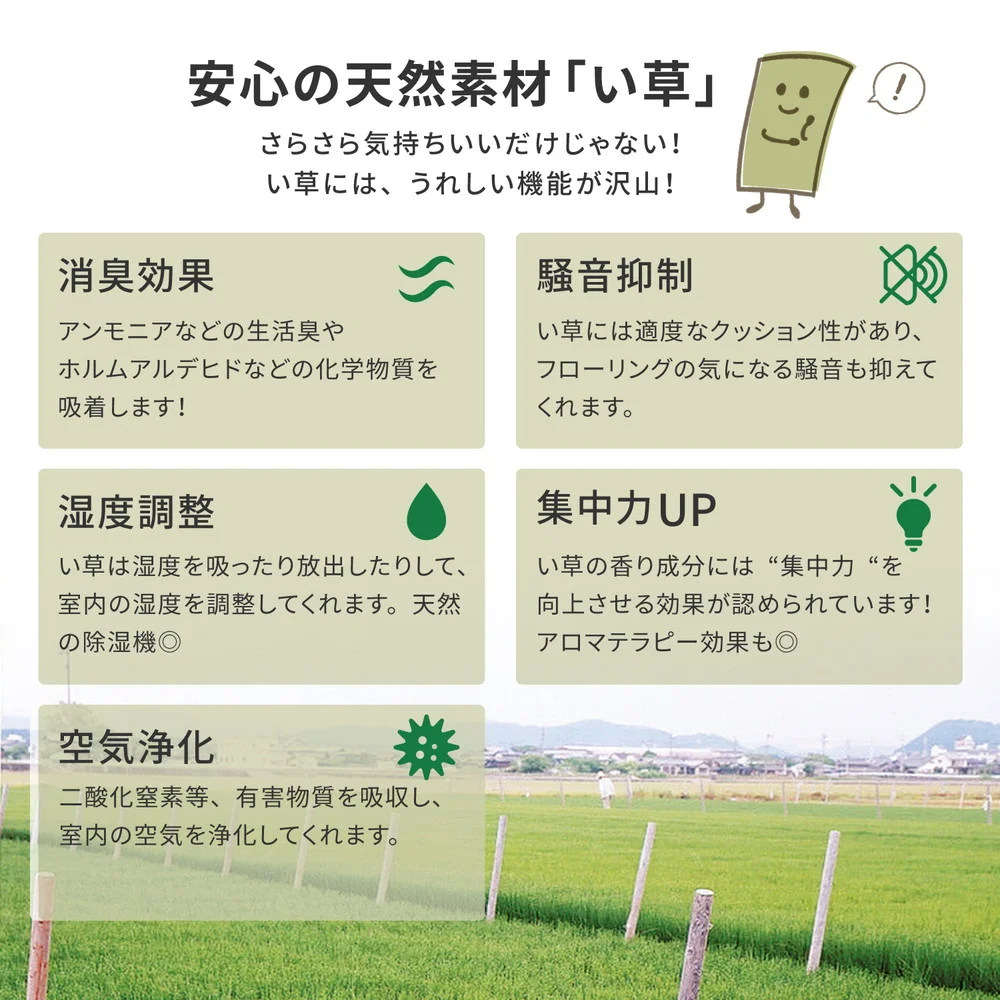フリーカット裏付き い草カーペット みすず 江戸間 2帖(174×174)