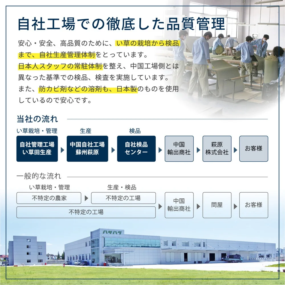 フリーカット裏付き い草カーペット みすず 江戸間 2帖(174×174)