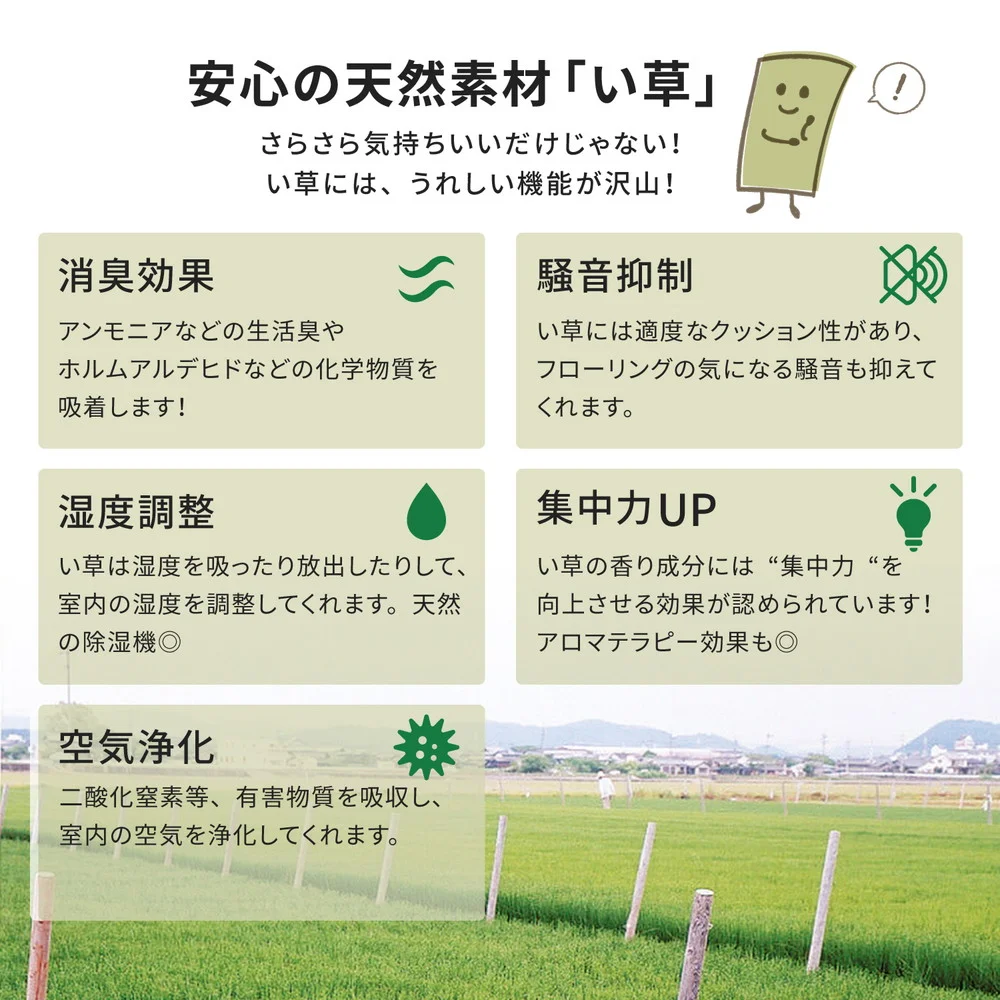 国産い草カーペット 琥珀 江戸間 1帖(87×174)