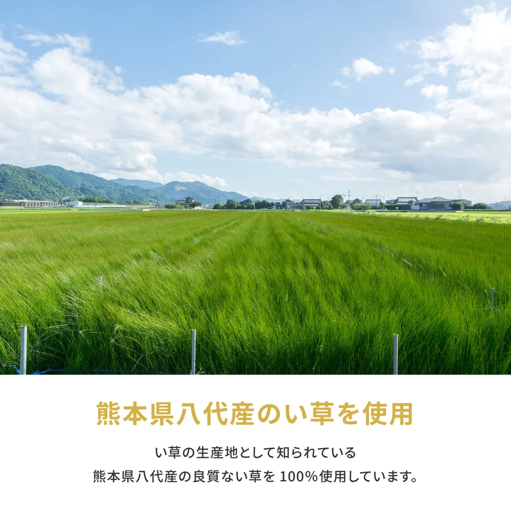 国産い草カーペット 琥珀 江戸間 1帖(87×174)
