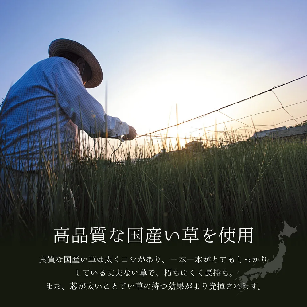 国産い草ラグ(裏貼り) エンペラー 200×200cm