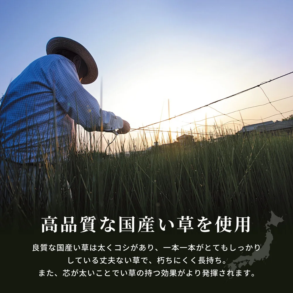 国産い草ラグ（裏貼り） 右京（うきょう） 191×191cm