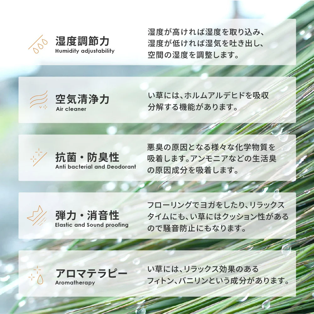 収納簡単 い草ふっくらラグ クレパス 180×180cm