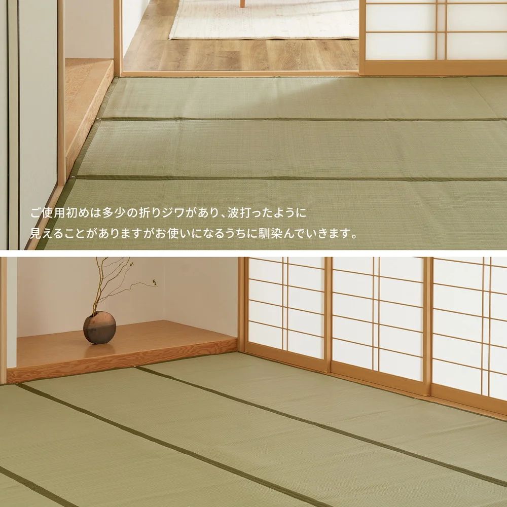洗えるい草カーペット 四条(しじょう) 江戸間 1畳（87×174）