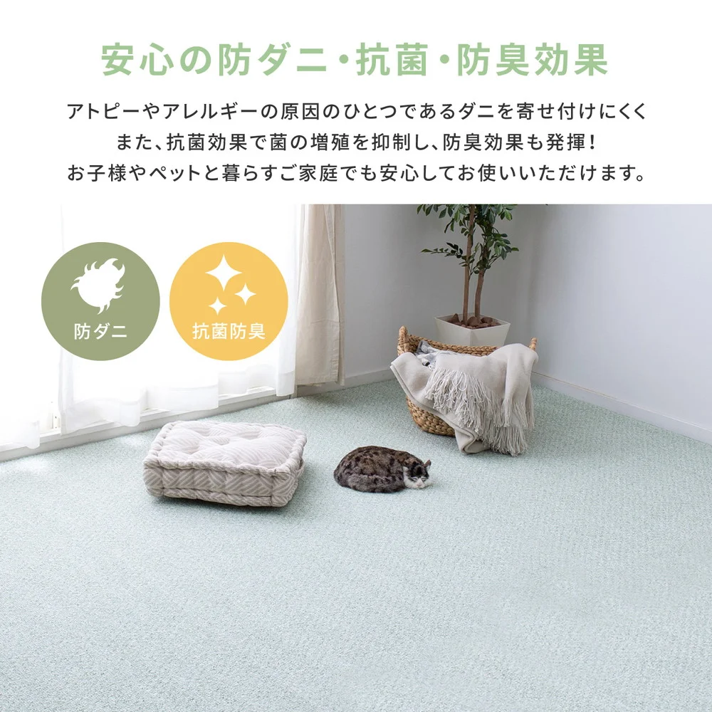 防炎・撥水付き国産高機能カーペット 江戸間 3帖(176×261)